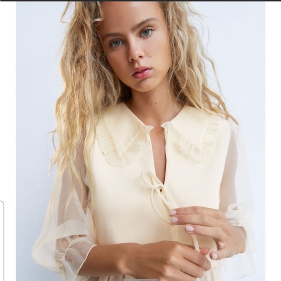 Zara Tops Zara Peter Pan Collared Combination Knit Top Poshmark